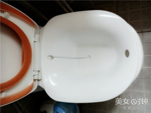 改善衛(wèi)生間的創(chuàng)意選擇 馬桶專用洗浴盆使用評(píng)測(cè)